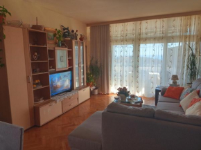 Apartment Gabriela